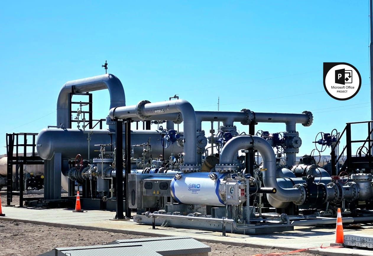 Cursos de Microsoft Project